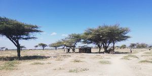 chumvi-poblado-kenia-áfrica