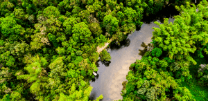 amazonas-pulmón-tierra