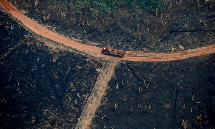 incendios-amazonas-consecuencias-causas