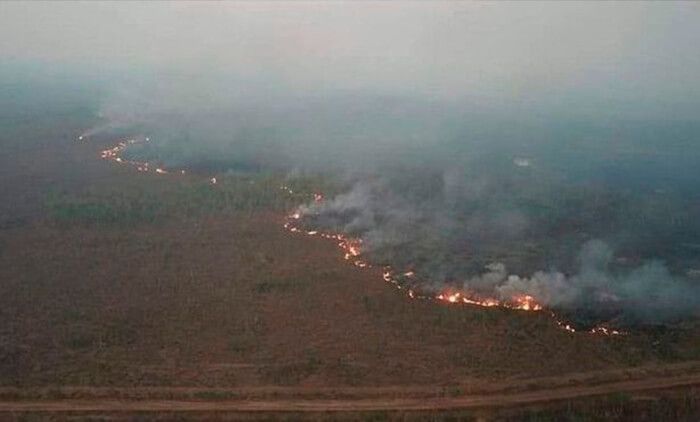incendios-amazonas-pulmón-del-planeta