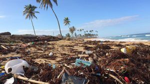 plasticos-destruyen-planeta-contamincación-plásticos-mundo
