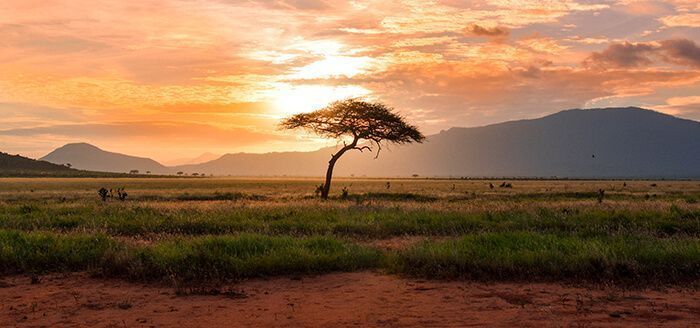 voluntariado-internacional-áfrica